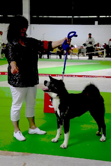 Yuzen kiwa - Championnat de FRANCE 2015 Dijon